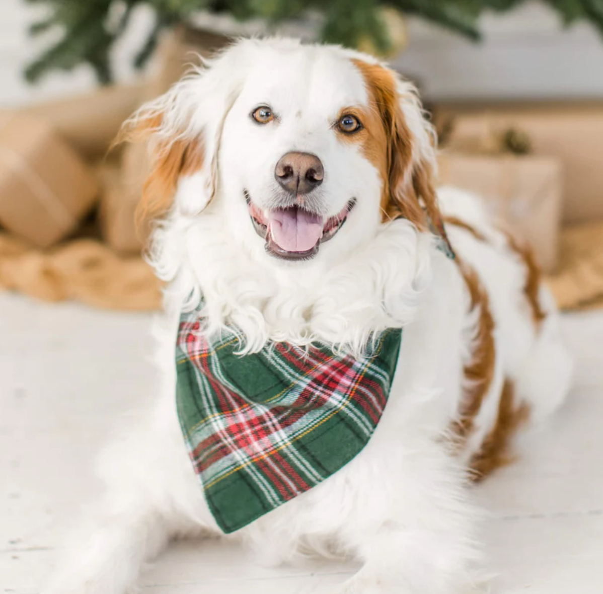 Dog flannel deals bandana