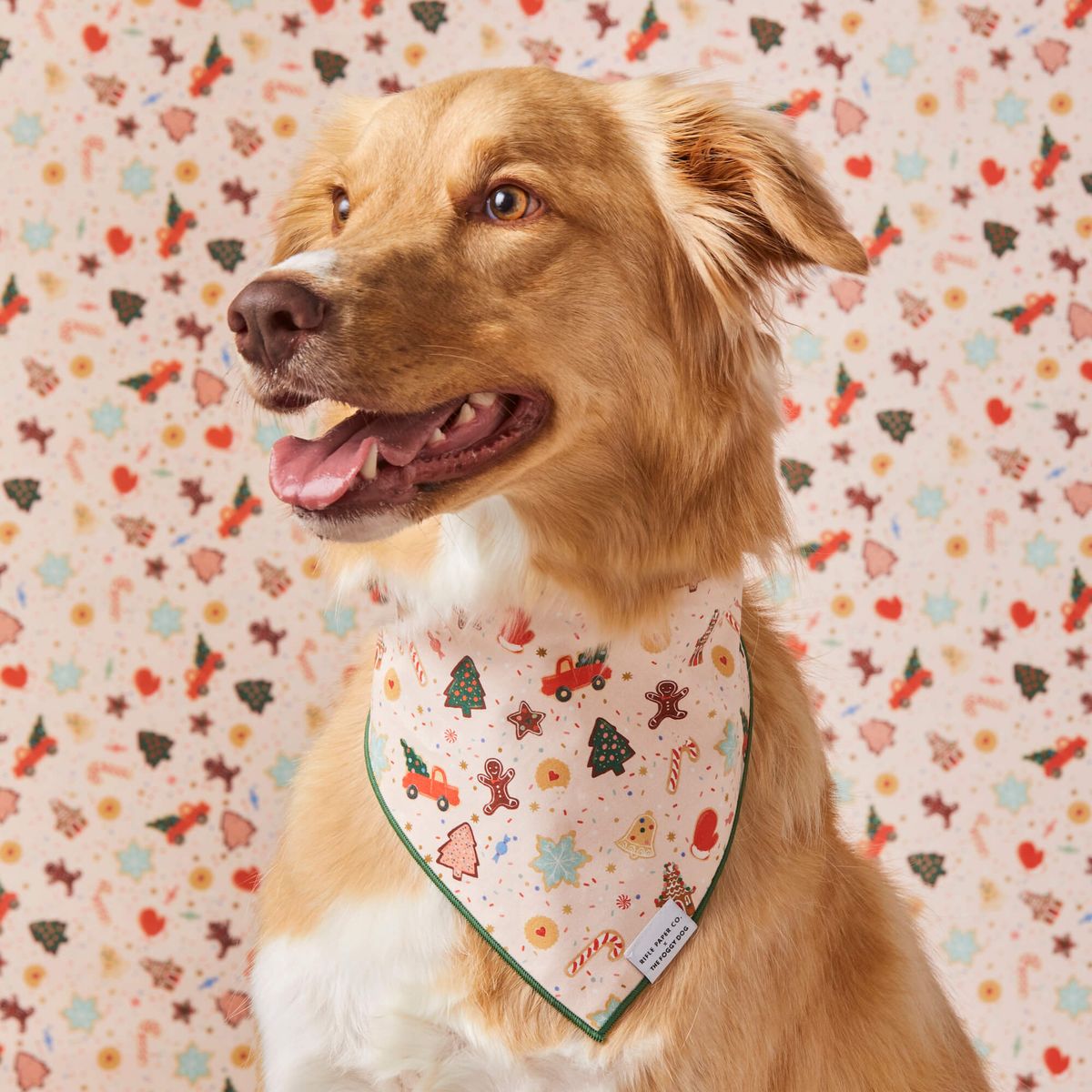 Rifle Paper Co. X tfd Holiday Bookies Dog Bandana