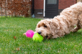 Spikey Bal Neon Green