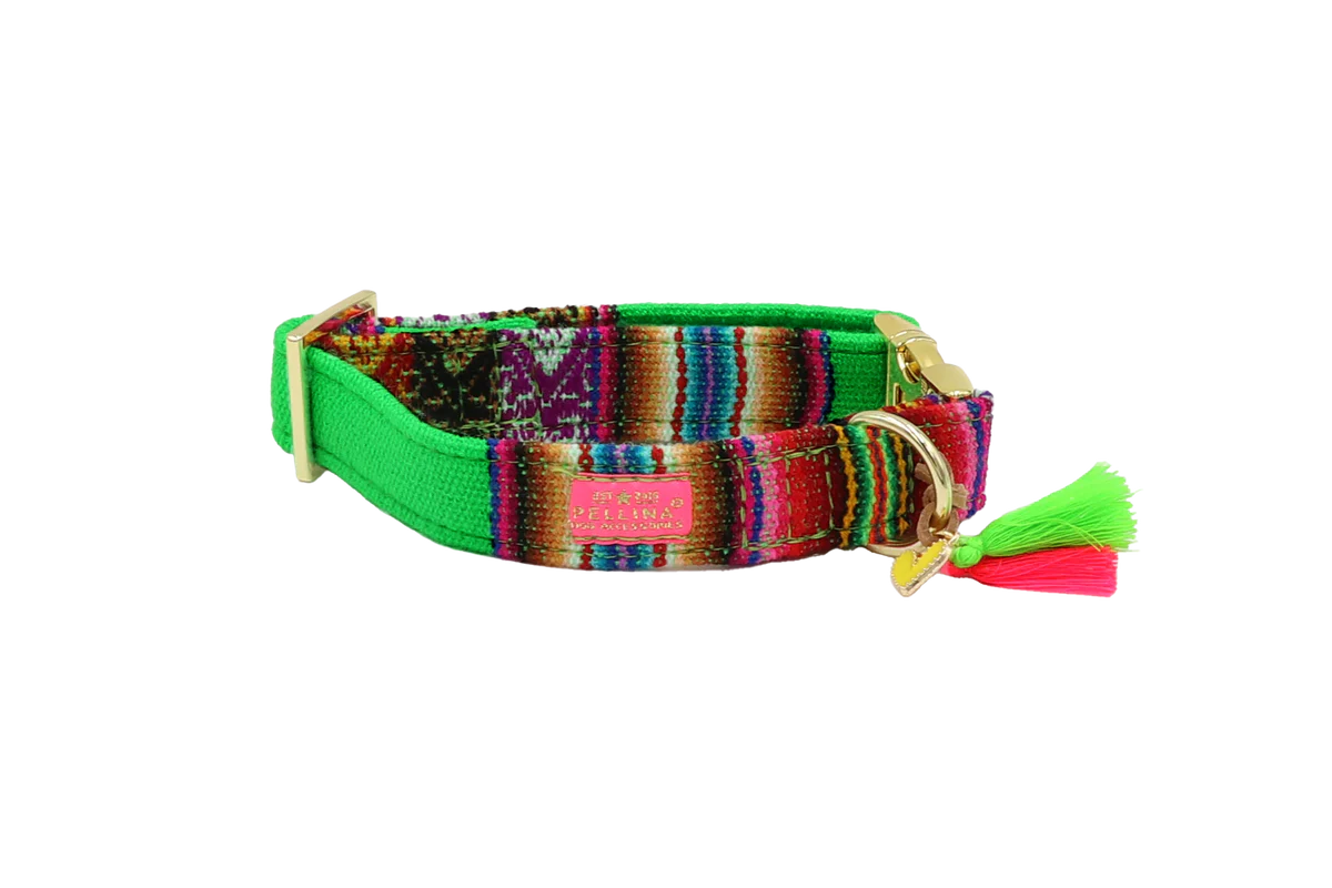 Bohemian Neon Green Collar