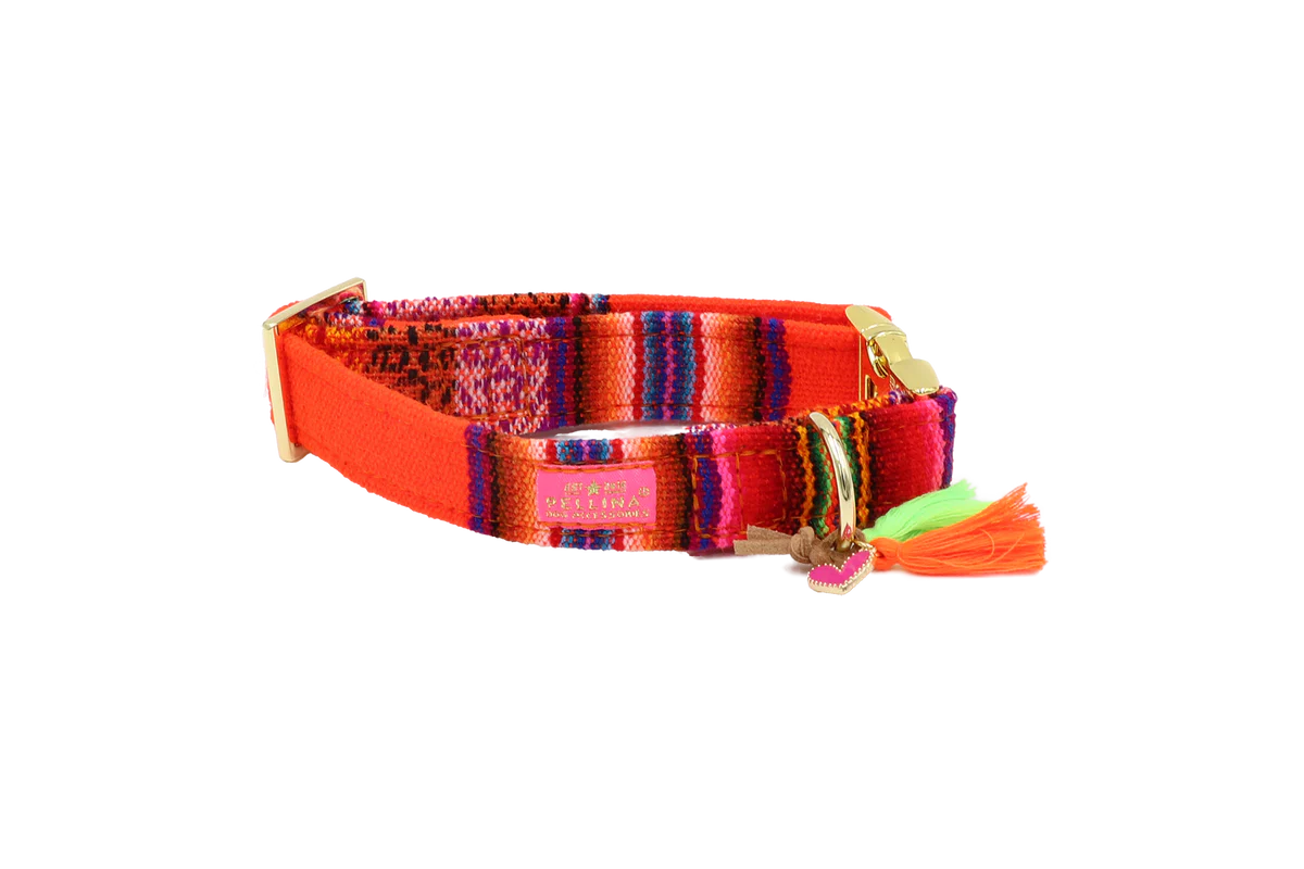 Bohemian neon orange collar