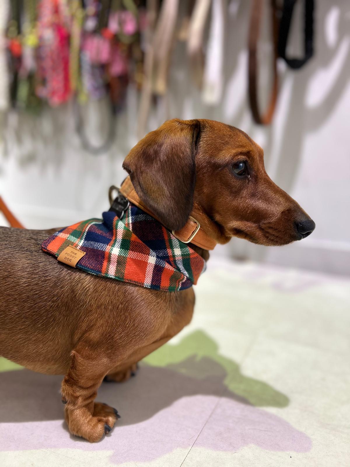 Dakota plaid flannel bandana