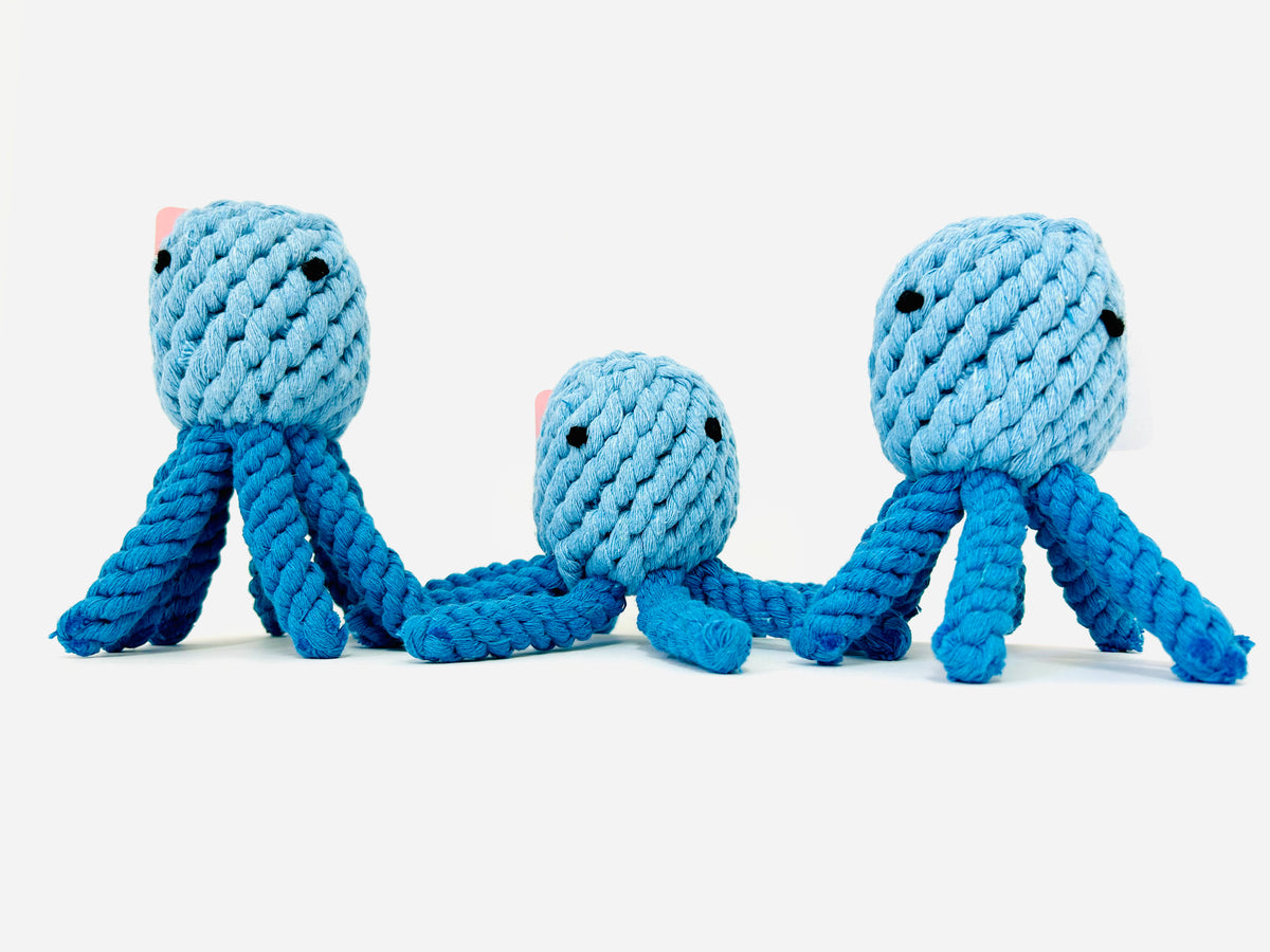 Blue Elton de Octopus