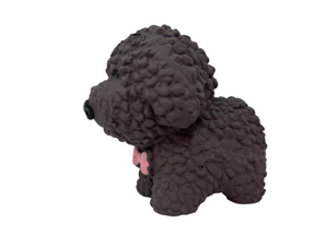 Poodle piep latex