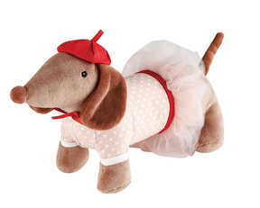 Dachshund scozzese