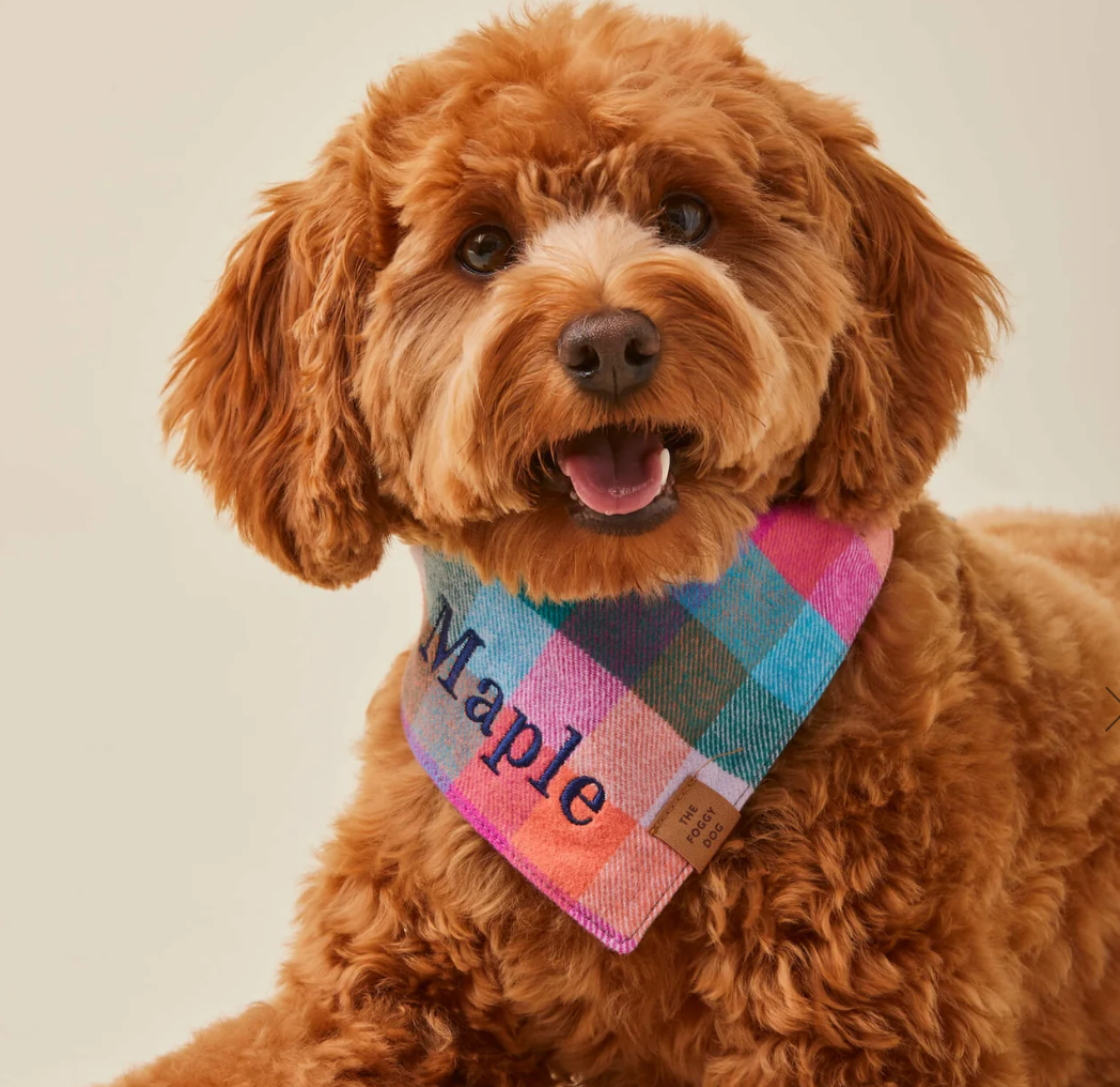 Color Pop Plaid Flannel Bandana