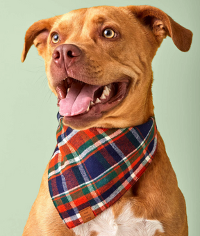 Dakota plaid flannel bandana