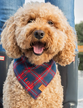 Weihnachtsplaid Flanell Bandana