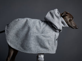 The Downey - Whippet