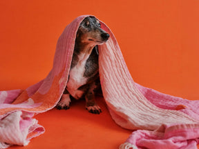 Doxie Beach Bag & Towel