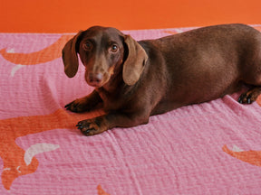 Doxie Beach Bag & Towel