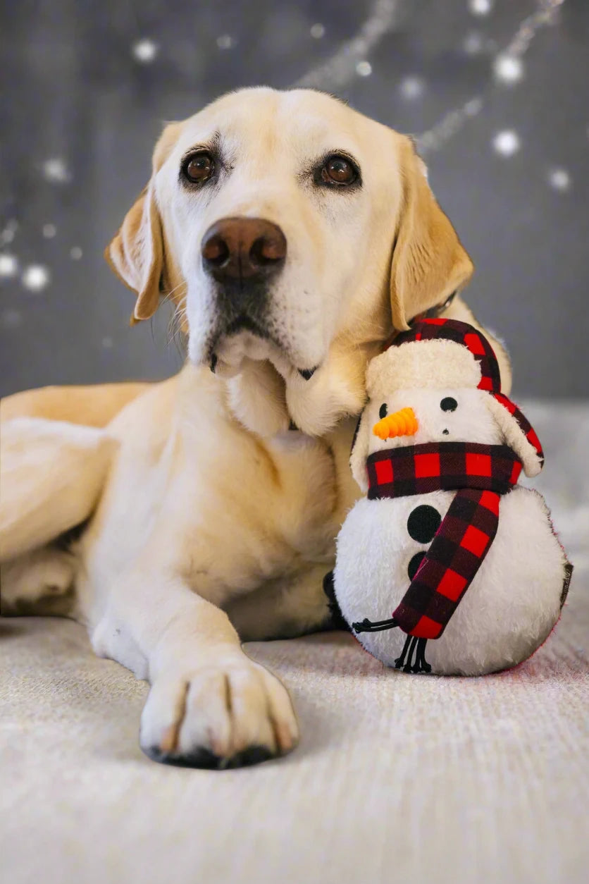 Christmas Snowman